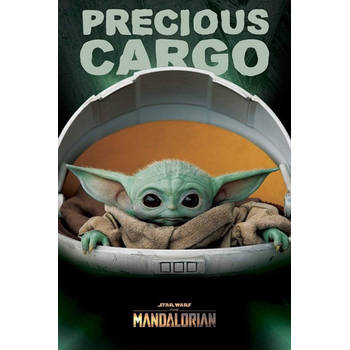 Poster Star Wars The Mandalorian Precious Cargo 61x91,5cm