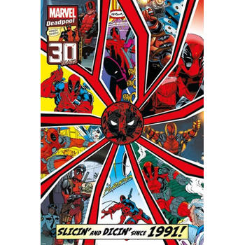 Poster Deadpool Shattered 61x91,5cm