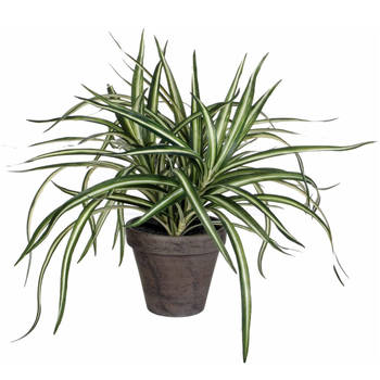 Mica Decorations Kunstplant - Dracaena - groen - in pot - 34 cm - Kunstplanten