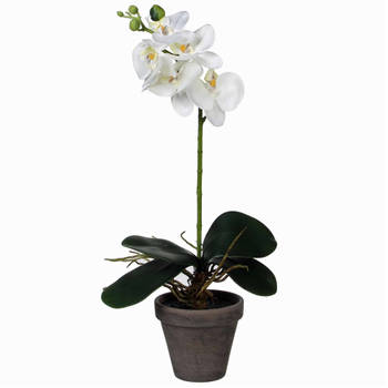 Phalaenopsis Orchidee kunstplant wit in grijze pot H38 x D13 cm - Kunstplanten