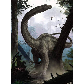 Fotobehang - Rebbachisaurus 184x248cm - Vliesbehang