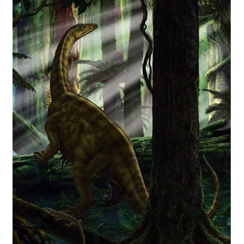 Fotobehang - Riojasaurus Forest 250x280cm - Vliesbehang