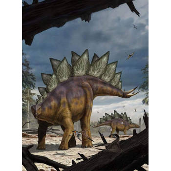 Fotobehang - Stegosaurus 184x248cm - Vliesbehang