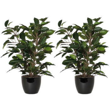 2x stuks groene ficus kunstplant 40 cm met plantenpot zwart D13.5 en H12.5 cm - Kunstplanten