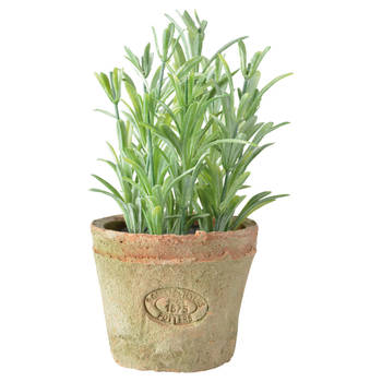 Kunstplant rozemarijn kruiden in terracotta pot 16 cm - Kunstplanten