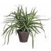 Dracaena kunstplant groen in grijze pot H34 cm x D40 cm - Kunstplanten