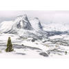 Fotobehang - White Enchanted Mountains 400x280cm - Vliesbehang