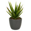 Floran Plantenpot - antraciet grijs - mat - keramiek - 19 x 17 cm - Plantenpotten