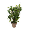 Groene ficus kunstplant 40 cm - Kunstplanten