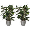 2x stuks groene ficus kunstplant 40 cm met plantenpot zilver metallic D13.5 en H12.5 cm - Kunstplanten