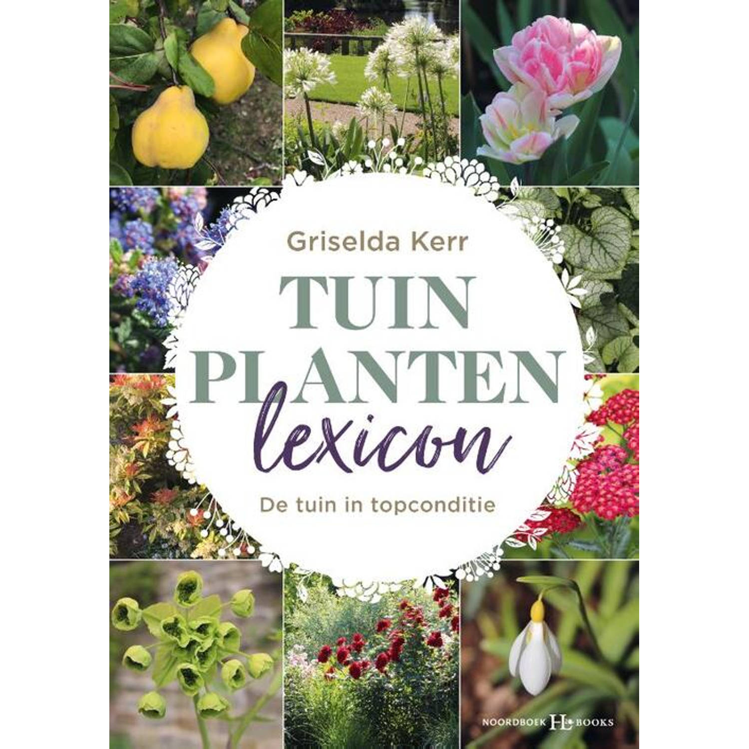 Tuinplantenlexicon - (ISBN:9789056157159)