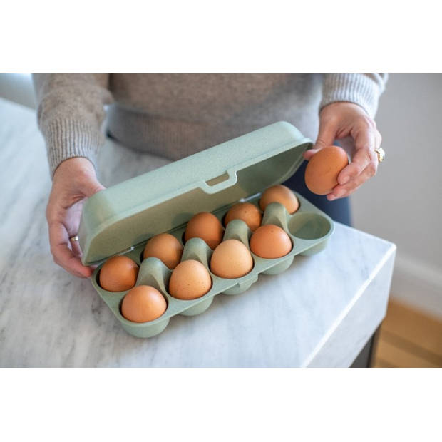 Koziol - Eggs To Go Eierdoos Organic - Kunststof - Groen