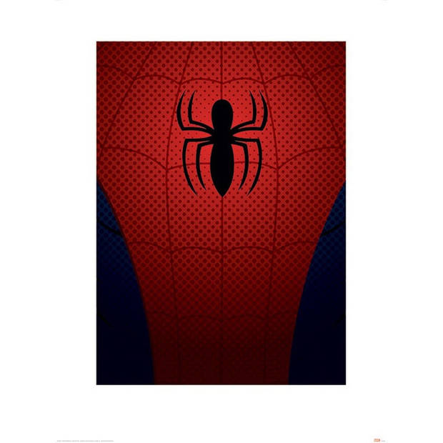 Kunstdruk Ultimate Spider-Man Spider-Man Torso 60x80cm