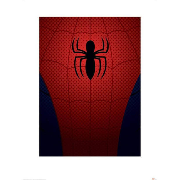 Kunstdruk Ultimate Spider-Man Spider-Man Torso 60x80cm