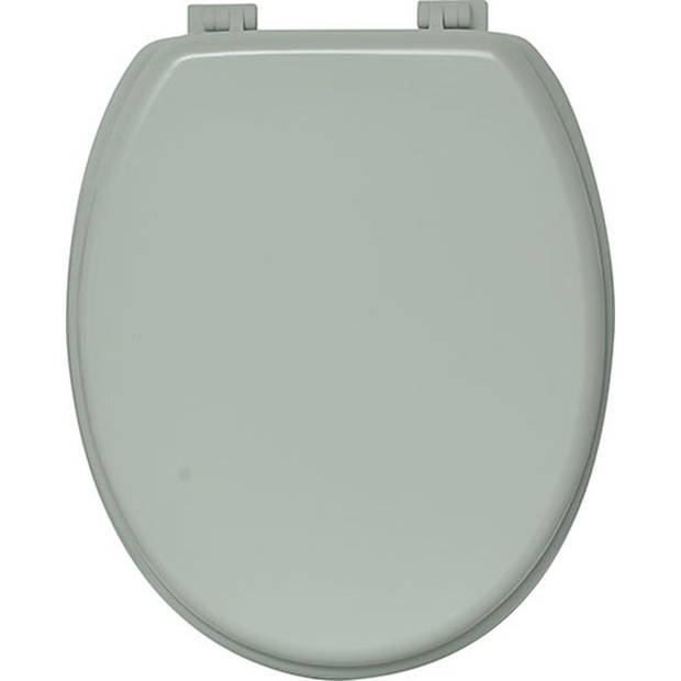 Gebor - Toiletbril – Toiletzitting – Wc-bril – Licht Mintgroen – Stijlvol – Kunststof Scharnieren – MDF –