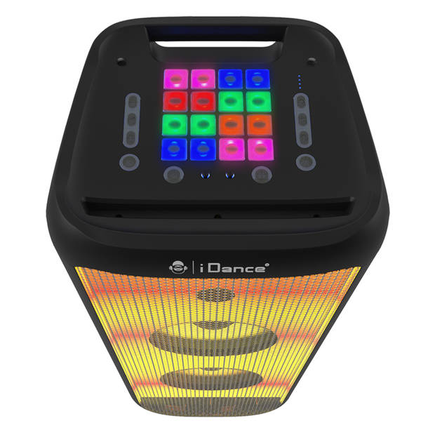 iDance DJX2000 Party Speaker - Inclusief 2 Microfoons en RGB LED verlichting - Karaoke Set - 2000 Watt