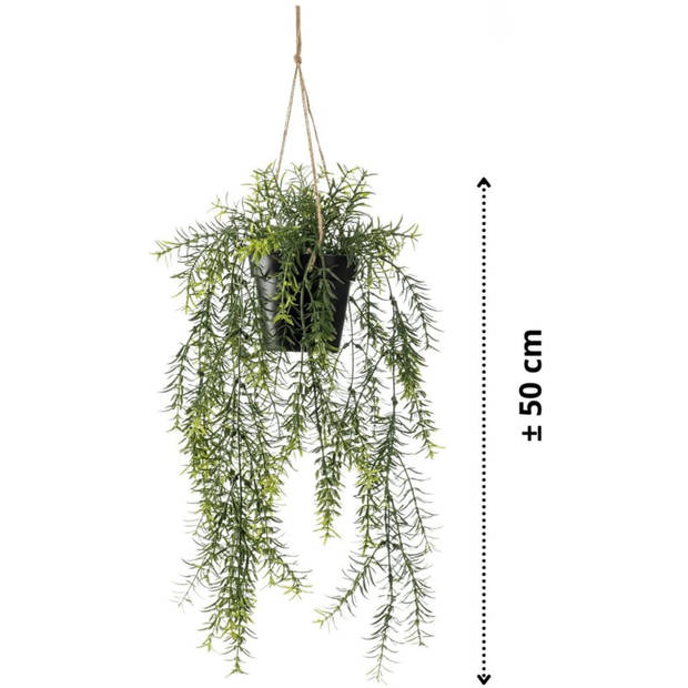 Emerald kunstplant/hangplant - Asparagus - groen - 50 cm lang - Kunstplanten