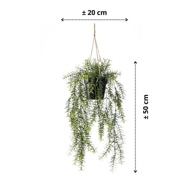 Emerald kunstplant/hangplant - Asparagus - groen - 50 cm lang - Kunstplanten