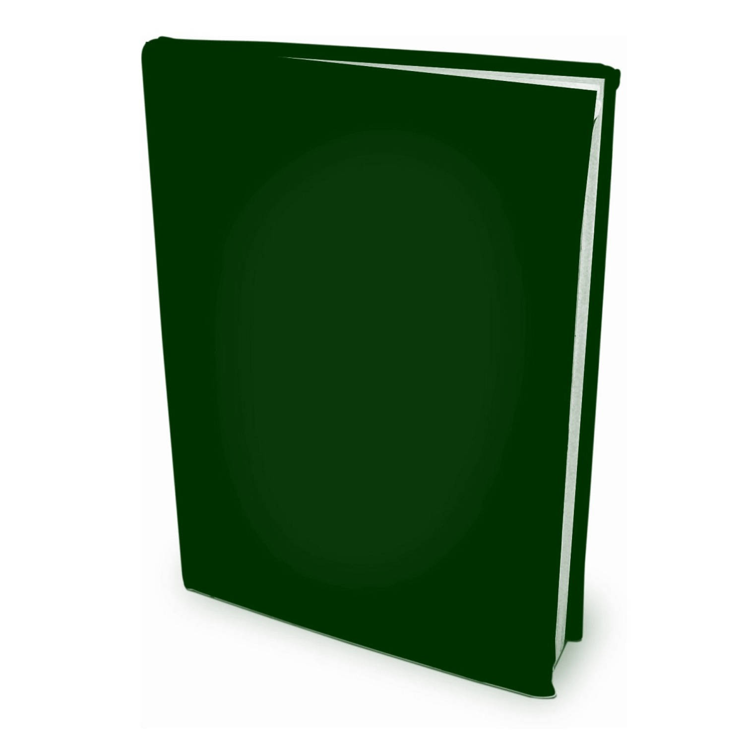 Benza Rekbare Boekenkaften A4 - Groen - 1 Stuks
