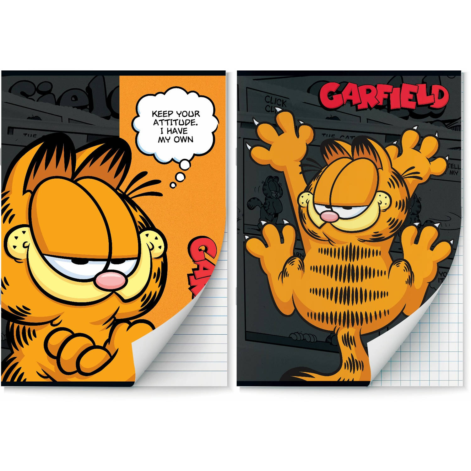 Garfield schriften Lijn en Ruit 10 mm A4 - 4 stuks