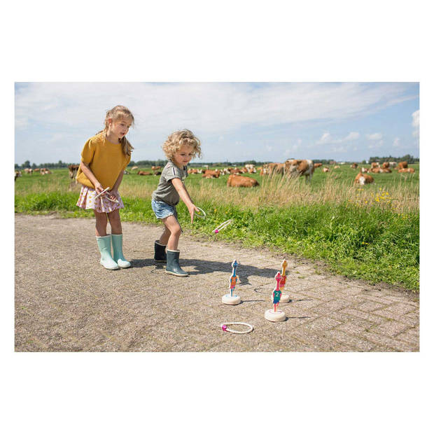 BS Toys ringwerpen Vogels 22 x 5 cm hout 6-delig