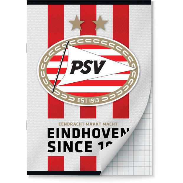 PSV schriften Ruit 10 mm A4 - 4 stuks