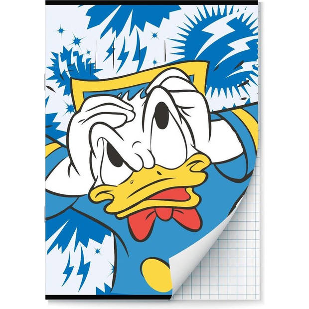 Donald Duck schriften Ruit 10 mm A4 - 4 stuks