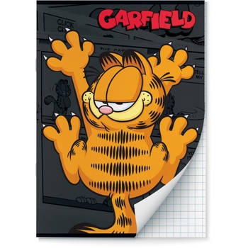 Garfield schriften Ruit 10 mm A4 - 4 stuks