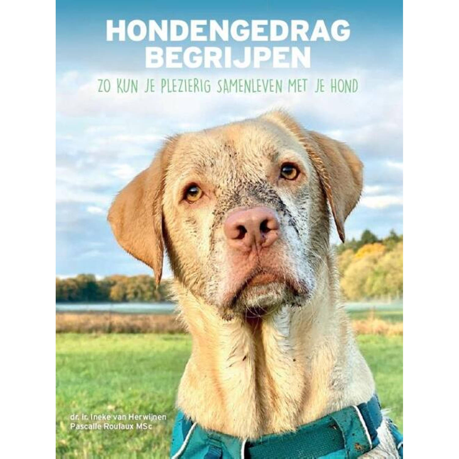 Hondengedrag begrijpen - (ISBN:9789493201903)