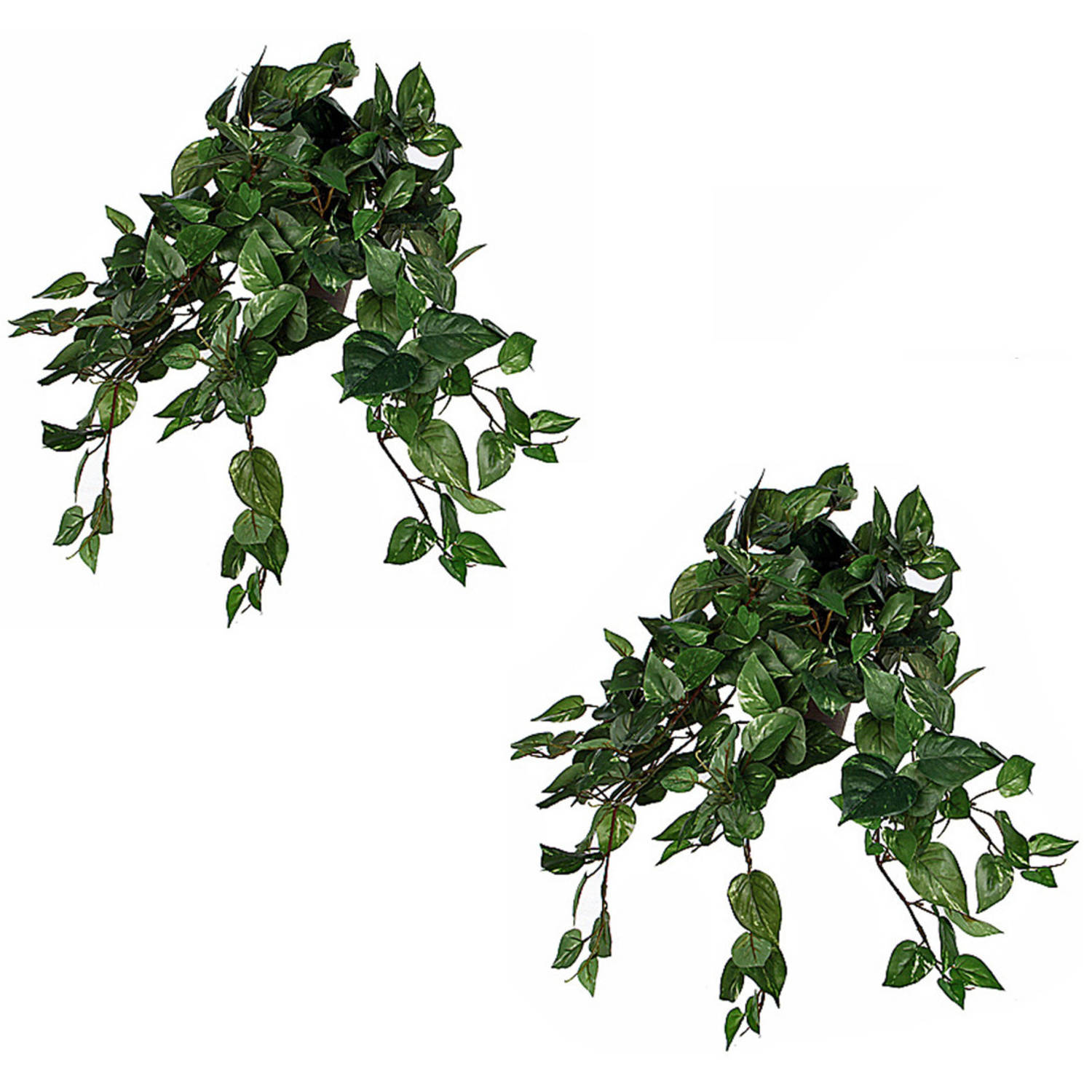 2x Stuks Scindapsus Drakenklimop Kunstplanten Groen L45 X B25 X H25 Cm Hangplant Kunstplanten-neppla