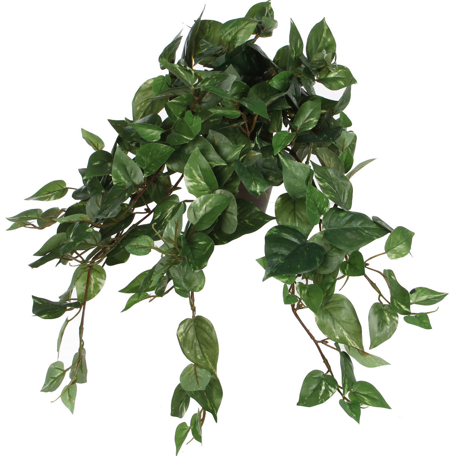 Scindapsus Drakenklimop Kunstplant Groen L45 X B25 X H25 Cm Hangplant Kunstplanten-nepplanten
