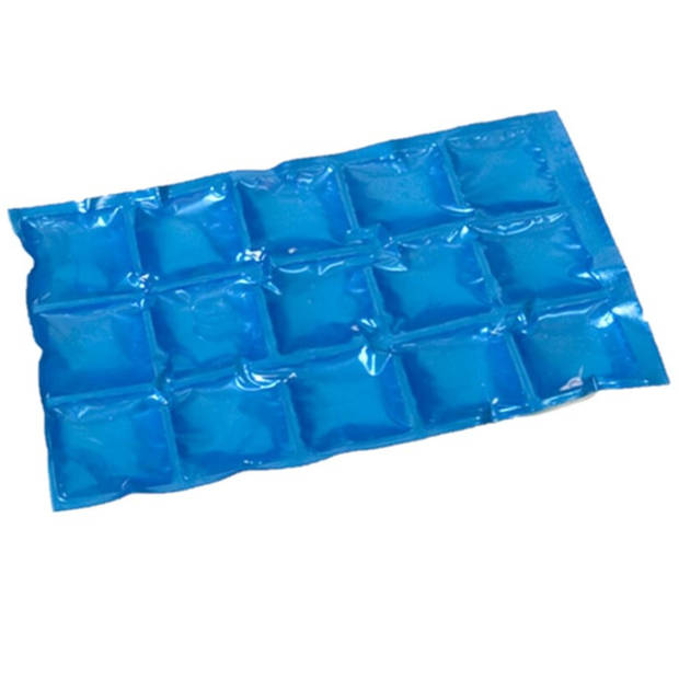 2x stuks herbruikbare flexibele koelelementen icepack 15 x 24 cm - Koelelementen