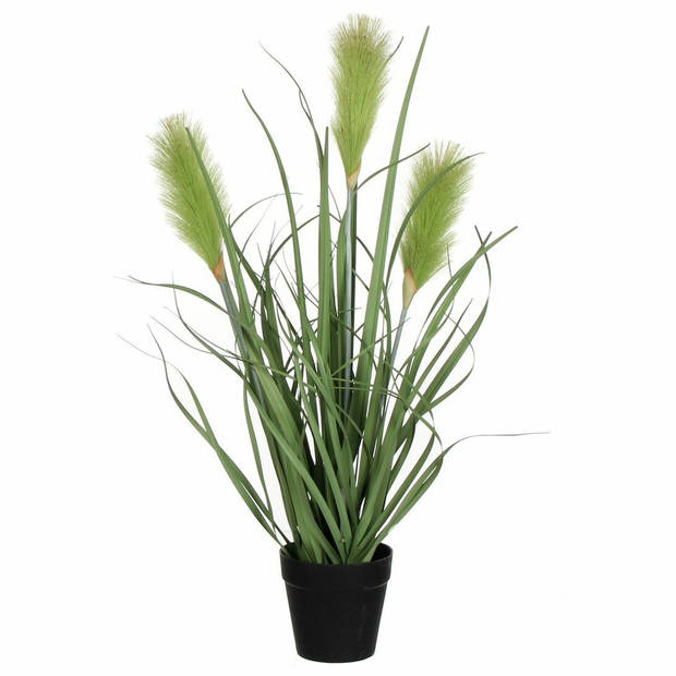 Mica Decorations Kunstplant - siergras - groen - in pot - 53 cm - Kunstplanten