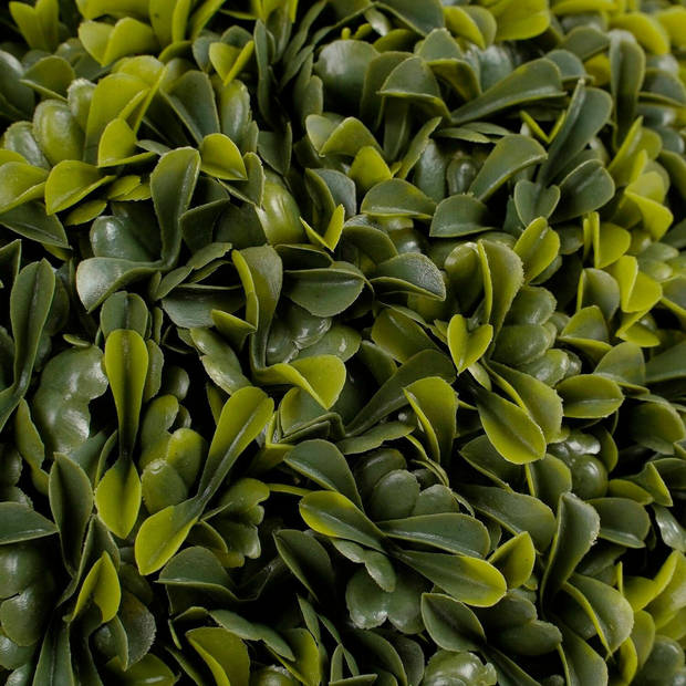 Buxus bol Theeblad groen D27 cm kunstplant UV-bestendig - Kunstplanten