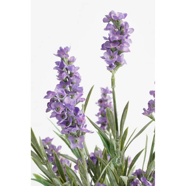 Mica Decorations Kunstplant - lavendel - paars - in pot - 20 x 33 cm - Kunstplanten