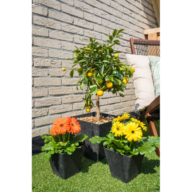 Bloempot/plantenpot vierkant van gerecycled kunststof zwart D15 en H15 cm - Plantenbakken