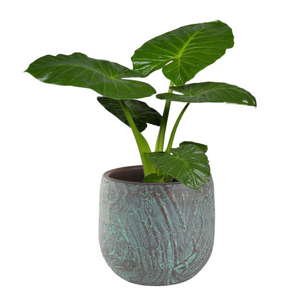 Steege Bloempot - koper groen - keramiek - antiek look - 15 x 13 cm - Plantenpotten