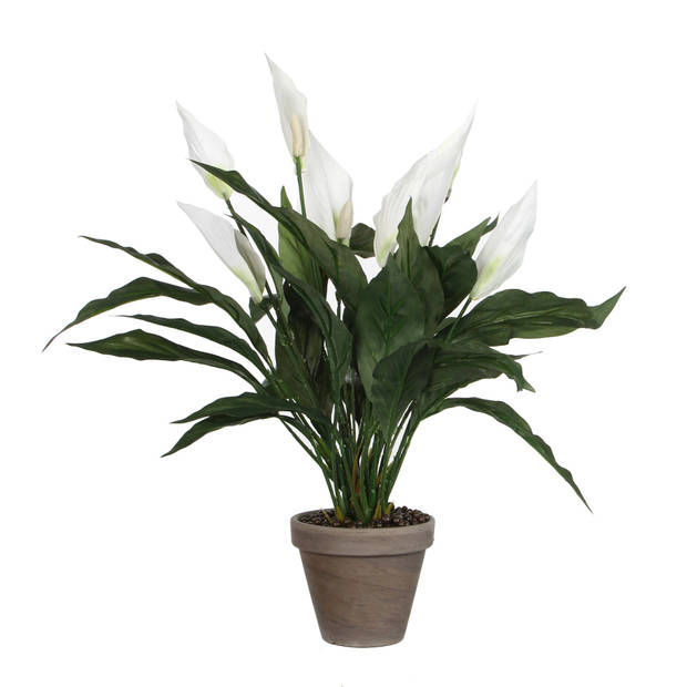 2x stuks spathiphyllum lepelplant kunstplanten wit in keramieken pot H50 x D40 cm - Kunstplanten