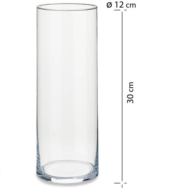 Cilindervaas/bloemenvaas van glas 12 x 30 cm - Vazen