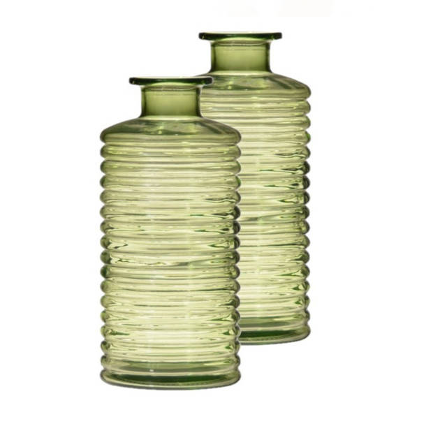 Set van 2x stuks glazen stijlvolle bloemenvaas transparant groen D9.5 en H21.5 cm - Vazen
