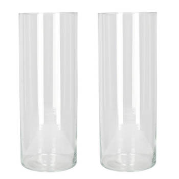 Set van 2x stuks bloemenvaas/vazen van transparant glas 40 x 15 cm - Vazen