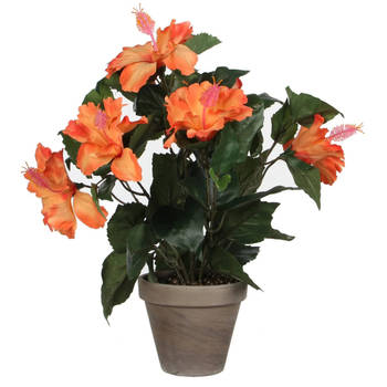 Hibiscus kunstplant oranje in grijze pot H40 x D30 cm - Kunstplanten