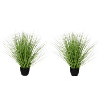 2x stuks kunstgras/grasplant kunstplanten groen in pot H50 x D40 cm - Kunstplanten