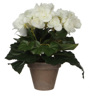 Witte Begonia kunstplant 25 cm in grijze pot - Kunstplanten