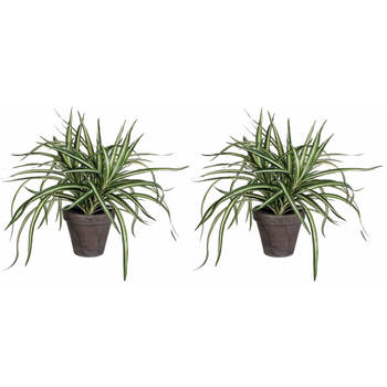 2x stuks dracaena kunstplanten groen in grijze pot H34 cm x D40 cm - Kunstplanten