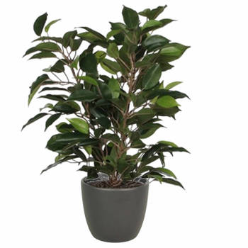 Groene ficus kunstplant 40 cm met plantenpot mat antraciet grijs D13.5 en H12.5 cm - Kunstplanten