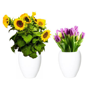 2x stuks bloemen vaas/vazen wit van keramiek D25 x H28 cm - Vazen