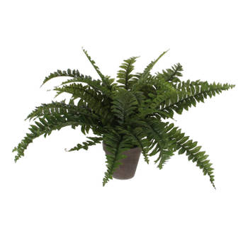 Mica Decorations Kunstplant - varen - groen - in pot - 42 cm - Kunstplanten