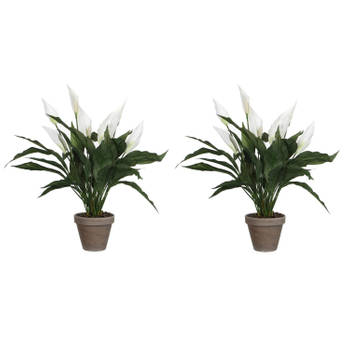 2x stuks spathiphyllum lepelplant kunstplanten wit in keramieken pot H50 x D40 cm - Kunstplanten