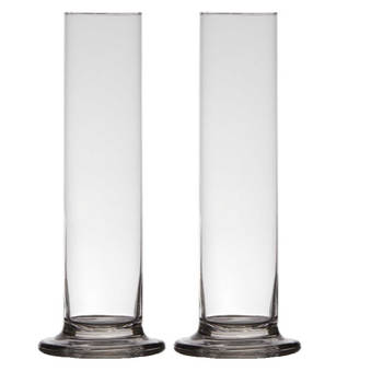 2x stuks luxe stijlvolle 1 bloem vaas/vazen 25 x 6 cm transparant glas - Vazen